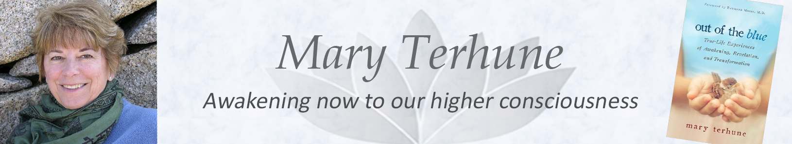 Mary Terhune Website
